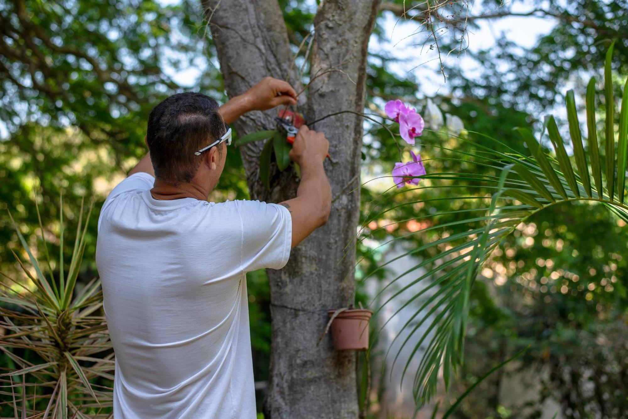 Villa Bella Ferradura Búzios Buitenkant foto